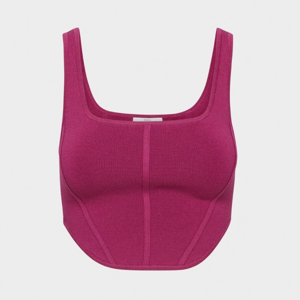 Aritzia Sculpt Knit Bustier Top